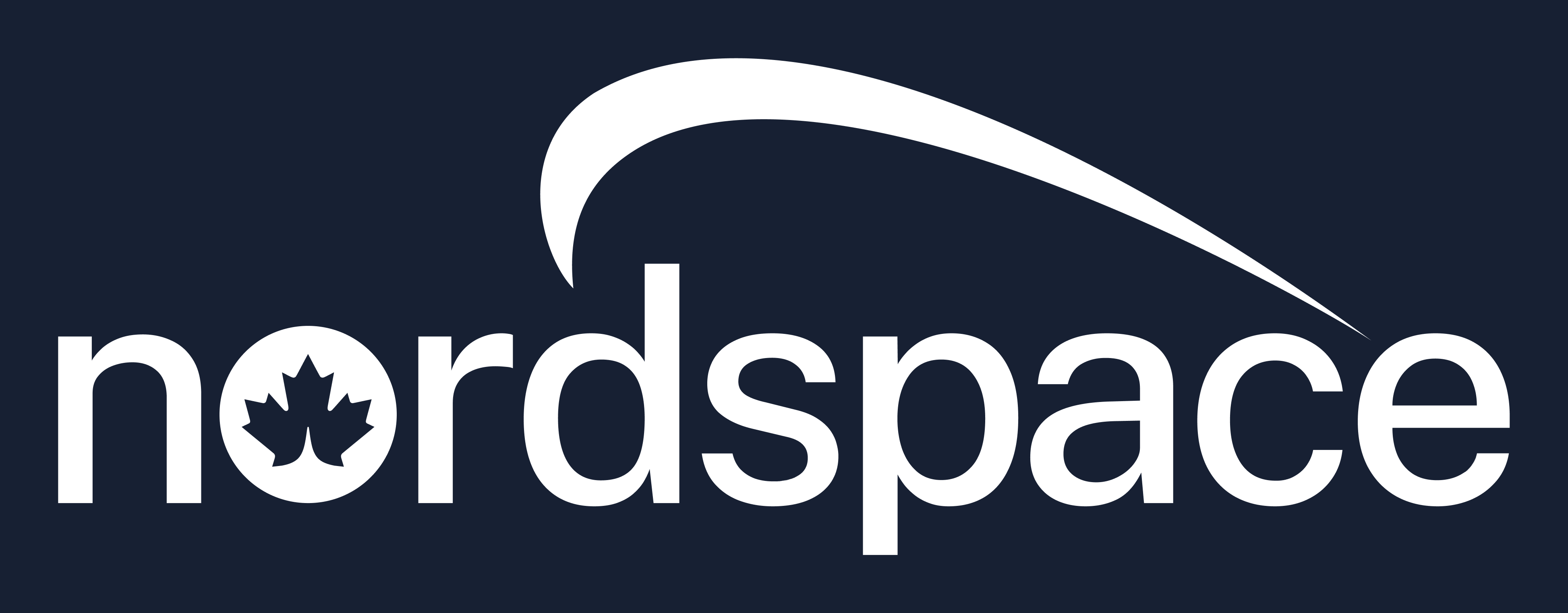 NordSpace logo